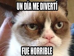 Juegue como un gato por dos minutos. | Grumpy cat quotes, Grumpy ...