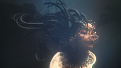 Björk (Bjork Not Get Analog Studio)