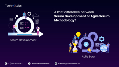 A brief difference between Scrum Development or Agile Scrum ...