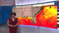 Will we see an above average 2024 hurricane season? | 13newsnow