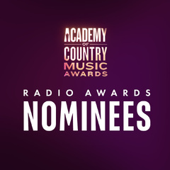 59th Academy of Country Music Awards (ACM Radio Awards)