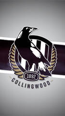 Collingwood Football Club (Collingwood Magpies)