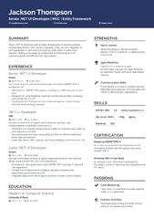 6 Net Developer Resume Examples & Guide for 2024