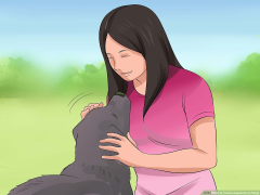 How to Treat Lungworms in Dogs: 11 Steps (with ) - wikiHow ...