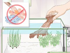 3 Ways to Creativelyate a Freshwater Fish Tank - wikiHow Pet