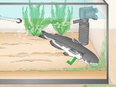 3 Ways to Troubleshoot Tank Cycling Problems - wikiHow