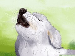 How to Train a Great Pyrenees: 14 Steps (with ) - wikiHow Pet