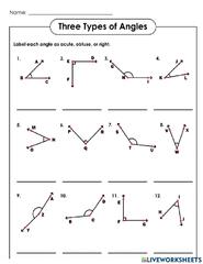 Measuring Angles | Worksheet | Education - Worksheets Library