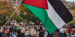 Senate Condemns Student Groups as Backlash to Pro-Palestinian ...