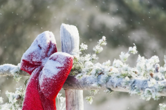 Fresh snow on holiday bow and s on fence post Christmas season (Christmas and holiday season)