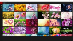 Free Flowers s- Microsoft Apps