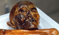 Scientists trace 19 living relatives of Ötzi the Iceman whose ...