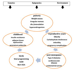 Cureus | Polycystic Ovary Syndrome: A Literature Review With a ...