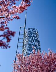 NC State University Spring 2023 Commencement Program by North ...