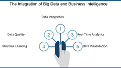 The Integration of Big Data and Business Intelligence