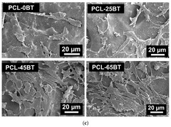 Bioengineering |-Text | 3D-ed Piezoelectric Porous ...