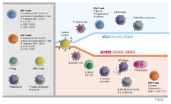 Biomedicines |-Text | Immune Responses against SARS-CoV ...