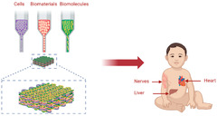 Biomolecules |-Text | Recent Advances in Hydrogel-Based ...