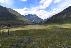 Waterton National Park third view project | Mountain Legacy Project