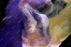 Premium Photo | Blue yellow multicolored smoke abstract background ...