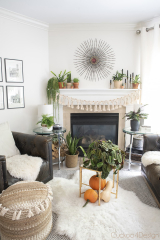 How toate your living room with plants (using my own space ...