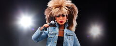 Barbie Signature Tina Turner Doll (Tina Turner)