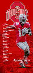 Ohio State Buckeyes football (The Ohio State University)