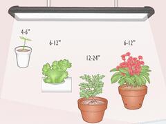 LED Grow Light