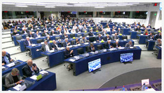 European Parliament (European Commission)