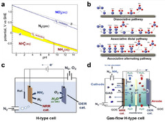 Catalysts |-Text | Recent Advances in Electrochemical