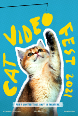 CatVideoFest 2021 (2021) Movie
