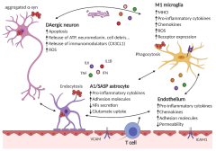 Cells |-Text | Inflammation in Parkinson's Disease ...