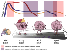 Cells |-Text | Chromosome Instability, Aging and Brain ...