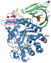 Cells |-Text | GBA Variants and Parkinson Disease ...