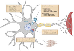 Cells |-Text | Current State and Future Directions in ...