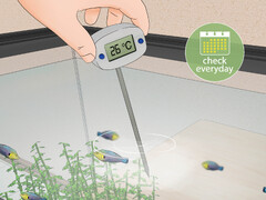 3 Ways to Clean a Fish Tank - wikiHow