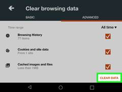 Web browsing history (Amazon Kindle Fire)