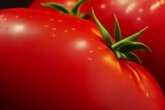 Greeg: Realism slice of Tomato“Hyper-realistic textures,” “Precise ...