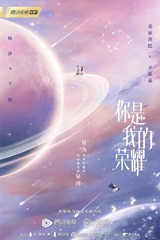 你是我的荣耀(TV Series 2021-2021) - 海报— The Movie Database (TMDB)