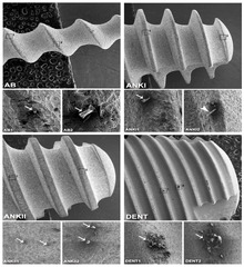 Coatings |-Text | Assessment of the Chemical Composition ...