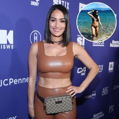 Brie Bella Bikini Photos: 'Total Bellas' Star Swimsuit