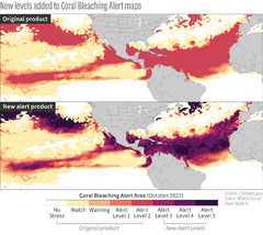 NOAA Coral Reef Watch extends alert scale following extreme coral ...