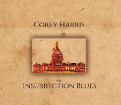 The Insurrection Blues (Corey Harris Afton Mountain Blues)