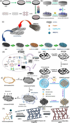 Graphene Oxide