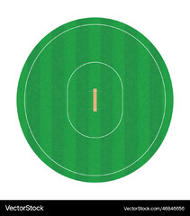 Cricket pitch and ground top view Royalty Vector