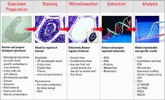 Laser Microdissection