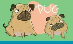 cute funny crazy pug dog 24515664 Vector at Vecteezy