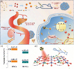 Recent developments in bismuth oxyhalide-based functional ...