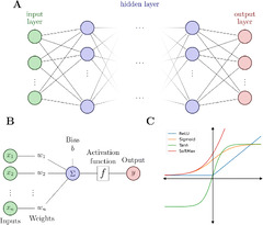 Neural Network