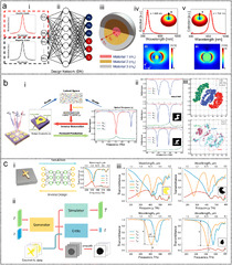 Machine learning-augmented surface-enhanced spectroscopy toward ...